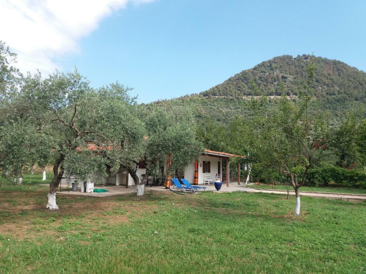 Olive Summer House Хриси-Амудия Экстерьер фото