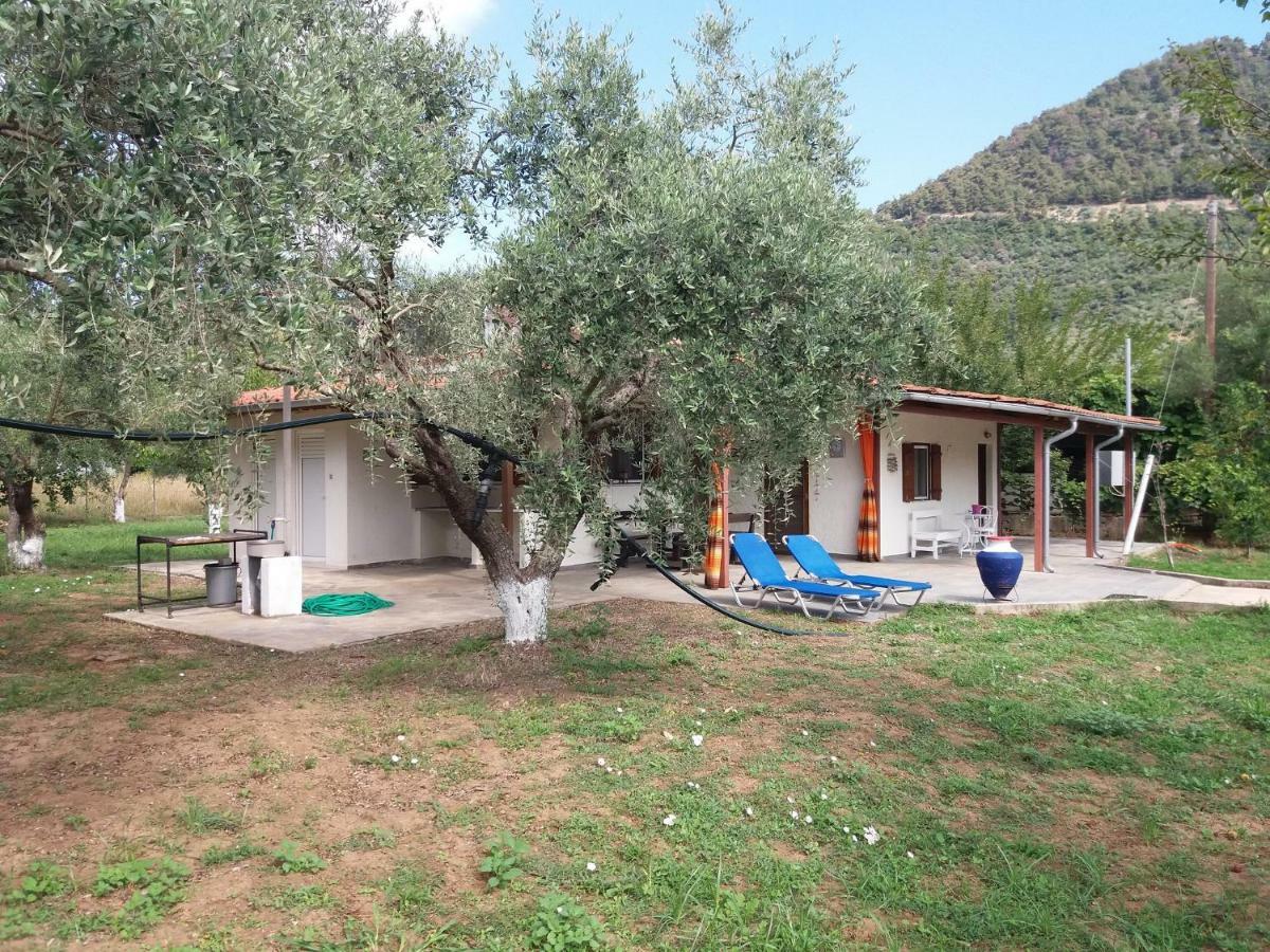Olive Summer House Хриси-Амудия Экстерьер фото